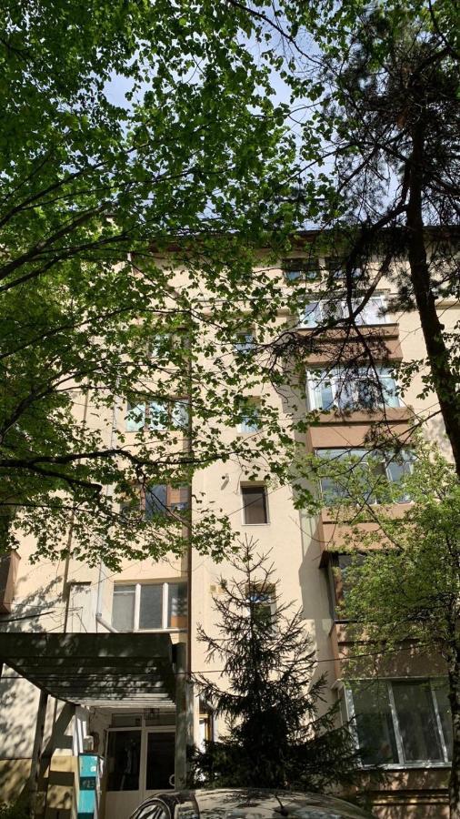 Best Apartment City Hall Сучеава Екстериор снимка