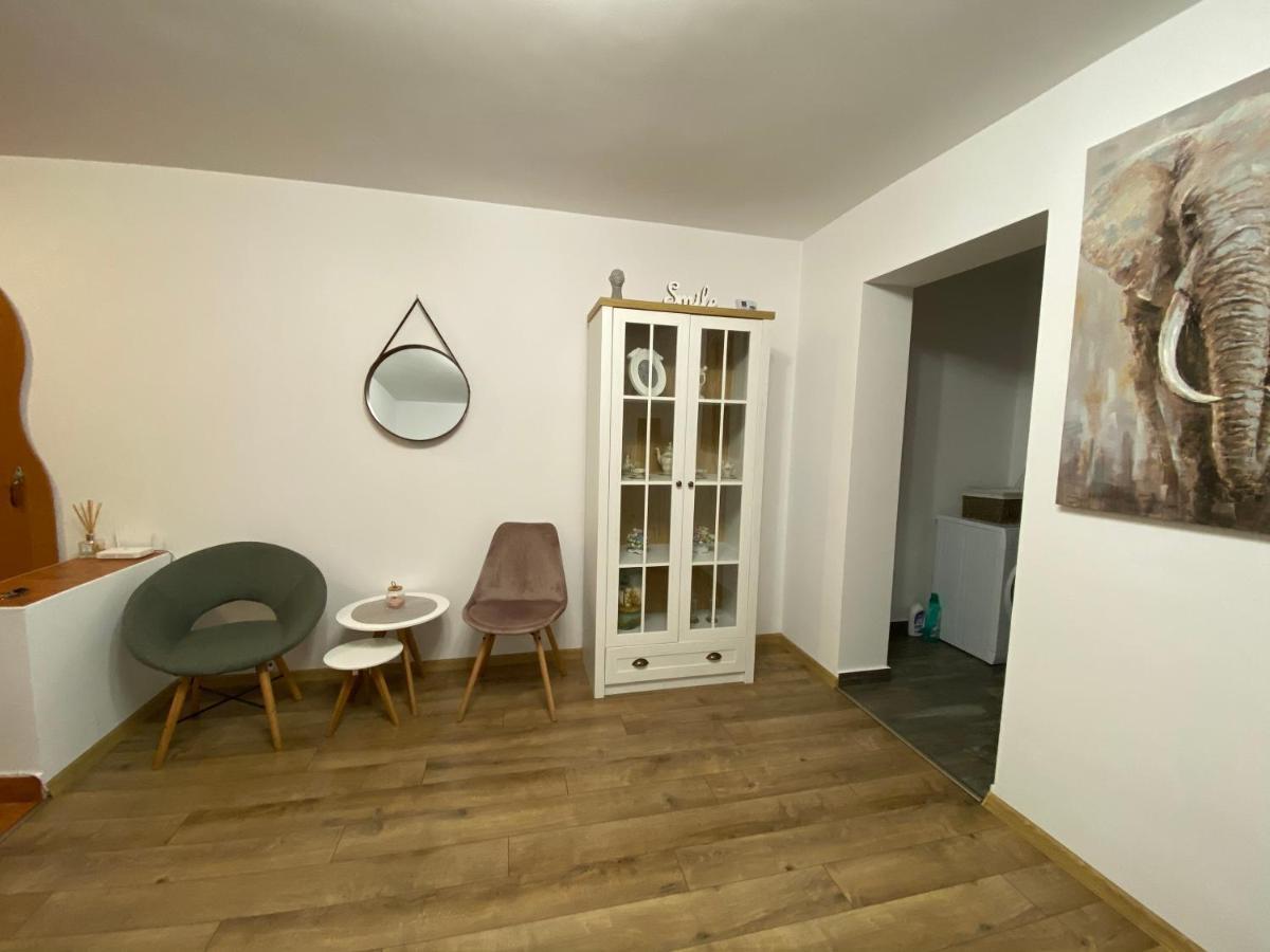 Best Apartment City Hall Сучеава Екстериор снимка