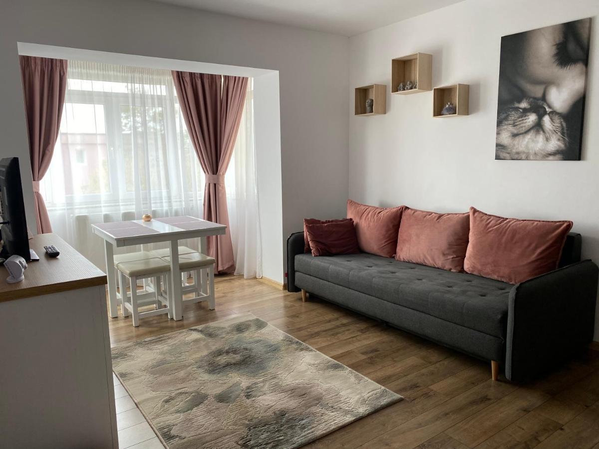 Best Apartment City Hall Сучеава Екстериор снимка